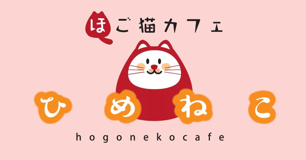 保護猫カフェ ひめねこ