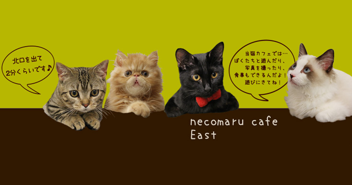 猫まるカフェ East